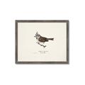 Picture of Parus _GroupedProduct_Rectangle_Landscape_Framed_Matted_