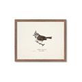 Picture of Parus _GroupedProduct_Rectangle_Landscape_Framed_Matted_