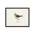Picture of Parus _GroupedProduct_Rectangle_Landscape_Framed_Matted_
