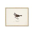 Picture of Parus _GroupedProduct_Rectangle_Landscape_Framed_Matted_