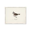Picture of Parus _GroupedProduct_Rectangle_Landscape_Framed_Matted_