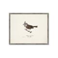 Picture of Parus _GroupedProduct_Rectangle_Landscape_Framed_Matted_