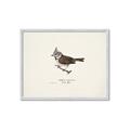 Picture of Parus _GroupedProduct_Rectangle_Landscape_Framed_Matted_