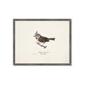 Picture of Parus _GroupedProduct_Rectangle_Landscape_Framed_Matted_