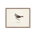 Picture of Parus _GroupedProduct_Rectangle_Landscape_Framed_Matted_