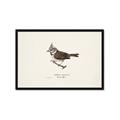 Picture of Parus _GroupedProduct_Rectangle_Landscape_Framed_Matted_