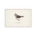 Picture of Parus _GroupedProduct_Rectangle_Landscape_Framed_Matted_