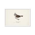 Picture of Parus _GroupedProduct_Rectangle_Landscape_Framed_Matted_