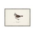 Picture of Parus _GroupedProduct_Rectangle_Landscape_Framed_Matted_