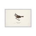 Picture of Parus _GroupedProduct_Rectangle_Landscape_Framed_Matted_