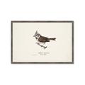 Picture of Parus _GroupedProduct_Rectangle_Landscape_Framed_Matted_