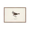 Picture of Parus _GroupedProduct_Rectangle_Landscape_Framed_Matted_