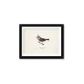 Picture of Parus _GroupedProduct_Rectangle_Landscape_Framed_Matted_