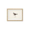 Picture of Parus _GroupedProduct_Rectangle_Landscape_Framed_Matted_