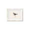 Picture of Parus _GroupedProduct_Rectangle_Landscape_Framed_Matted_