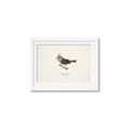 Picture of Parus _GroupedProduct_Rectangle_Landscape_Framed_Matted_