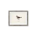 Picture of Parus _GroupedProduct_Rectangle_Landscape_Framed_Matted_