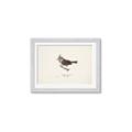 Picture of Parus _GroupedProduct_Rectangle_Landscape_Framed_Matted_