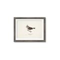 Picture of Parus _GroupedProduct_Rectangle_Landscape_Framed_Matted_