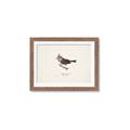 Picture of Parus _GroupedProduct_Rectangle_Landscape_Framed_Matted_