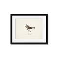 Picture of Parus _GroupedProduct_Rectangle_Landscape_Framed_Matted_