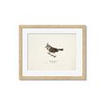 Picture of Parus _GroupedProduct_Rectangle_Landscape_Framed_Matted_