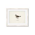 Picture of Parus _GroupedProduct_Rectangle_Landscape_Framed_Matted_