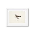Picture of Parus _GroupedProduct_Rectangle_Landscape_Framed_Matted_