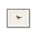 Picture of Parus _GroupedProduct_Rectangle_Landscape_Framed_Matted_
