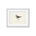 Picture of Parus _GroupedProduct_Rectangle_Landscape_Framed_Matted_