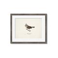 Picture of Parus _GroupedProduct_Rectangle_Landscape_Framed_Matted_