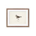 Picture of Parus _GroupedProduct_Rectangle_Landscape_Framed_Matted_