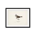 Picture of Parus _GroupedProduct_Rectangle_Landscape_Framed_Matted_