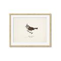 Picture of Parus _GroupedProduct_Rectangle_Landscape_Framed_Matted_