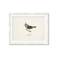 Picture of Parus _GroupedProduct_Rectangle_Landscape_Framed_Matted_
