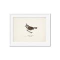 Picture of Parus _GroupedProduct_Rectangle_Landscape_Framed_Matted_
