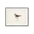 Picture of Parus _GroupedProduct_Rectangle_Landscape_Framed_Matted_