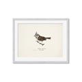 Picture of Parus _GroupedProduct_Rectangle_Landscape_Framed_Matted_