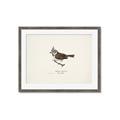 Picture of Parus _GroupedProduct_Rectangle_Landscape_Framed_Matted_