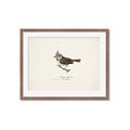 Picture of Parus _GroupedProduct_Rectangle_Landscape_Framed_Matted_