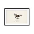 Picture of Parus _GroupedProduct_Rectangle_Landscape_Framed_Matted_