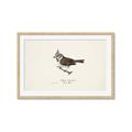 Picture of Parus _GroupedProduct_Rectangle_Landscape_Framed_Matted_