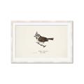 Picture of Parus _GroupedProduct_Rectangle_Landscape_Framed_Matted_
