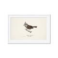 Picture of Parus _GroupedProduct_Rectangle_Landscape_Framed_Matted_