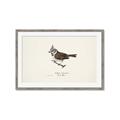 Picture of Parus _GroupedProduct_Rectangle_Landscape_Framed_Matted_