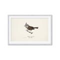 Picture of Parus _GroupedProduct_Rectangle_Landscape_Framed_Matted_