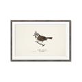 Picture of Parus _GroupedProduct_Rectangle_Landscape_Framed_Matted_