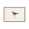 Picture of Parus _GroupedProduct_Rectangle_Landscape_Framed_Matted_