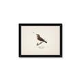 Picture of Wood Lark Bird _GroupedProduct_Rectangle_Landscape_Framed_Matted_