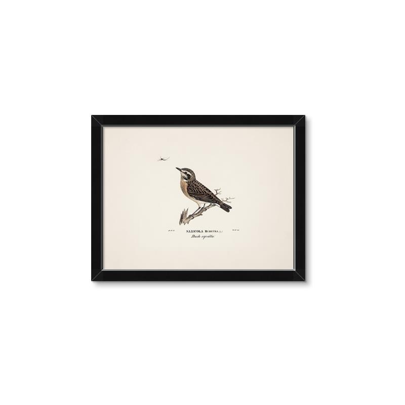 Picture of Wood Lark Bird _GroupedProduct_Rectangle_Landscape_Framed_Matted_